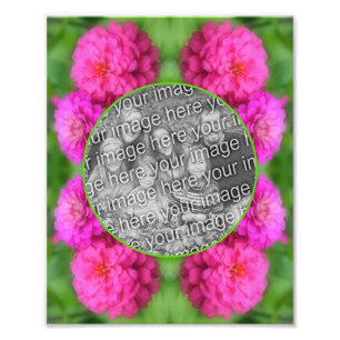 Zinnia Flowers Ram Skapar din egen 8 x 10 Fototryck