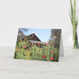 Zinnia Garden Note Card<Blank Inside> Tack Kort