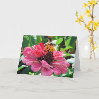 Zinnia HonBee Kort