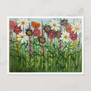 Zinnia, Margareta, Aster Blommor Postkort Vykort