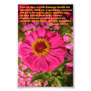 Zinnia med den Isaiah 61:11 Fototryck