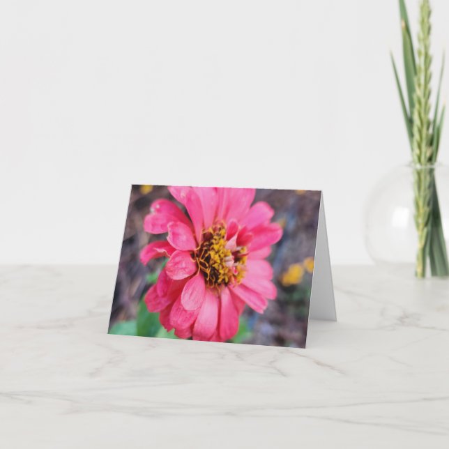 Zinnia Notkort - Original Fotografi Tack Kort (Framsida)