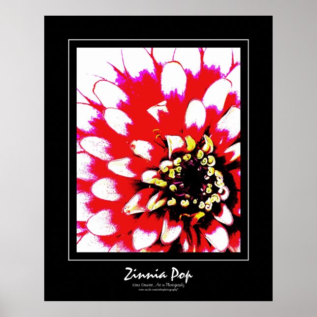 Zinnia Pop Poster (Framsidan)