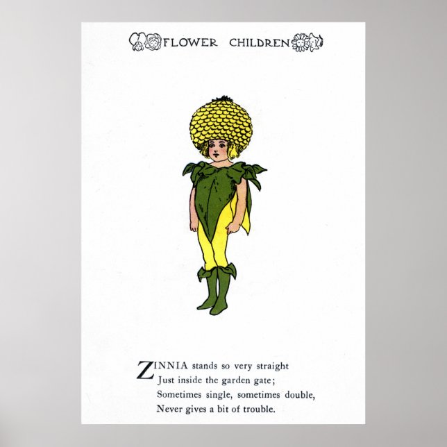 Zinnia Poster (Framsidan)
