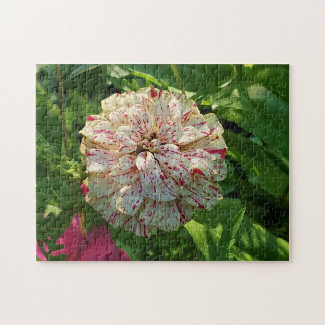 Zinnia Puzzle Pussel (Horisontell)