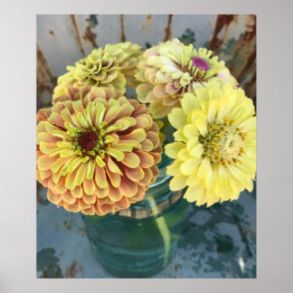 Zinnia Queen Lime Poster
