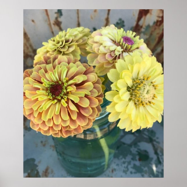 Zinnia Queen Lime  Poster (Framsidan)