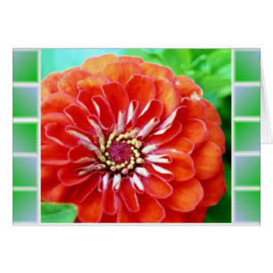 Zinnia Tiles Hälsningskort