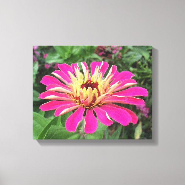 ZINNIA - Vibrant Rosa och Cream - Canvastryck (Framsida)