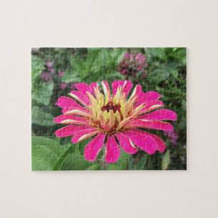 ZINNIA - Vibrant Rosa och Cream - Pussel