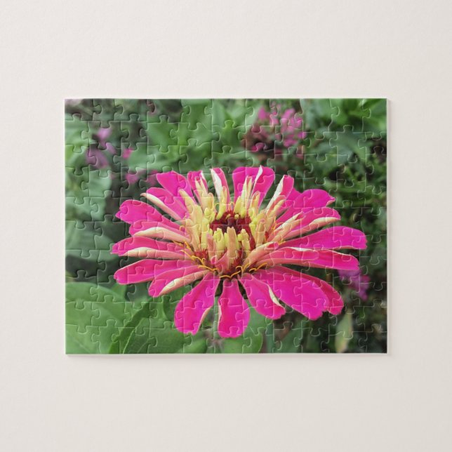 ZINNIA - Vibrant Rosa och Cream - Pussel (Horisontell)