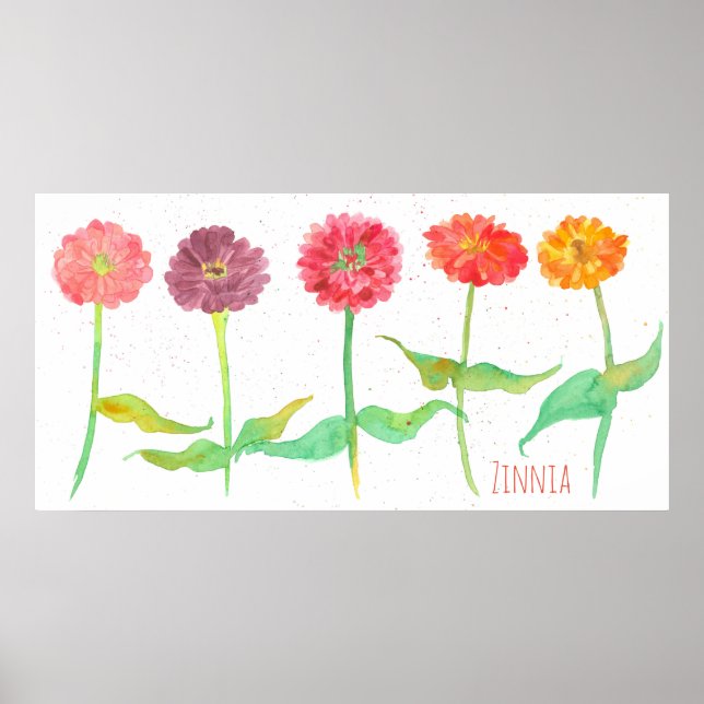 Zinnia Watercolor Flowers Poster (Framsidan)