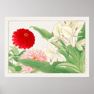 Zinnia & White Ginger Lily Flower, Tanigami Konan Poster