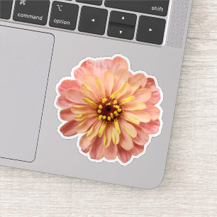 Zinniablomma Naturfotografi Klistermärken