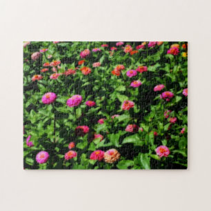 Zinniablommor Orton Art Effekt  Pussel