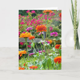 "Zinnias 1." Kort för hälsning