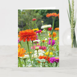 "Zinnias 2." Kort för hälsning