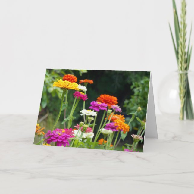 "Zinnias 5." Kort för hälsning (Framsida)