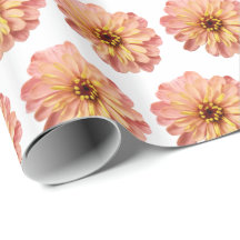 Zinnias Blommigt Fotografi av blommor Mönster