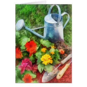 Zinnias och att bevattna kan hälsningskort