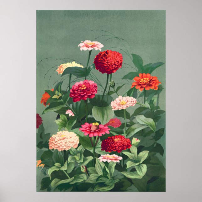 Zinnias Poster (Framsidan)