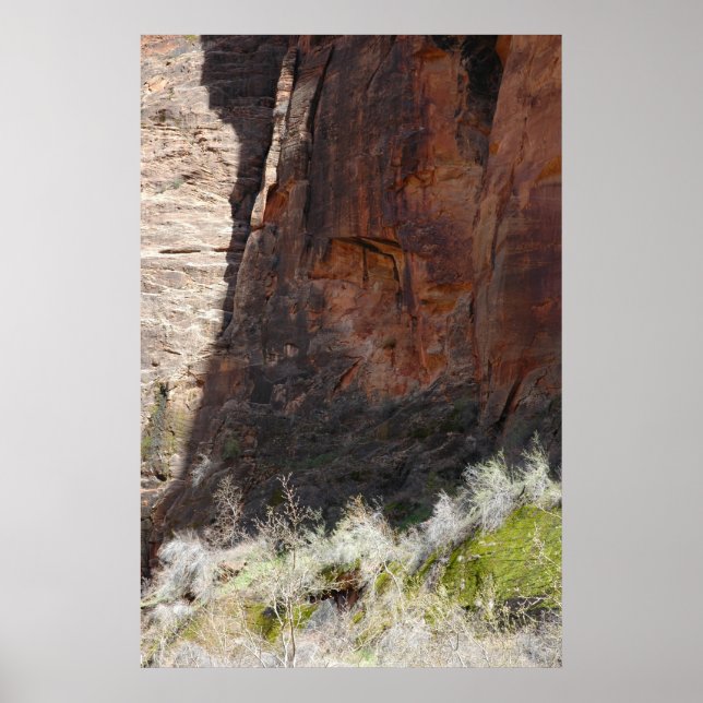 Zion Canyon Poster (Framsidan)