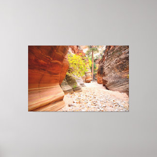 Zion Canyon-slucka Canvastryck