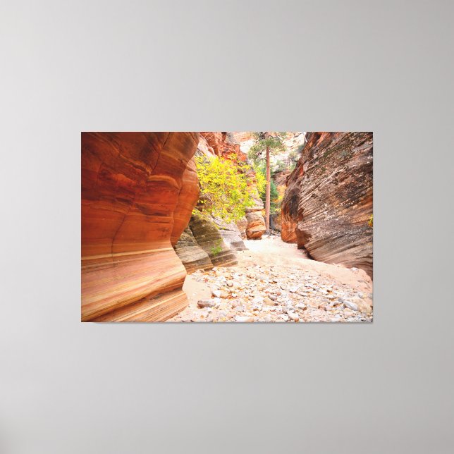 Zion Canyon-slucka Canvastryck (Framsida)