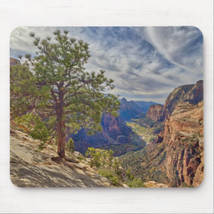 Zion Canyon View från Änglar Landing Musmatta