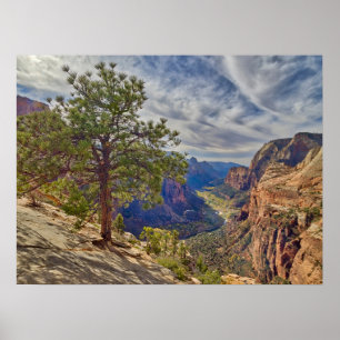 Zion Canyon-vy från Angels Landing Poster