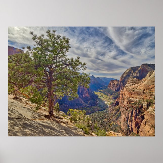 Zion Canyon-vy från Angels Landing Poster (Framsidan)
