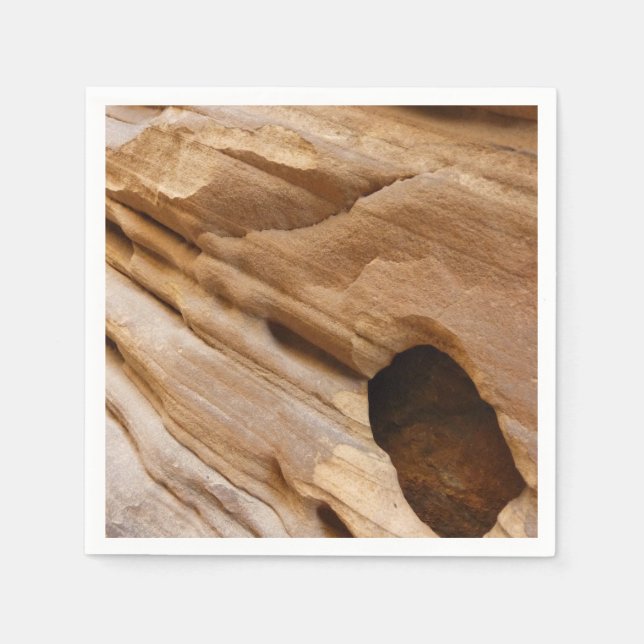 Zion Canyon Wall I Abstrakt Natur Fotografi Pappersservett (Framsidan)