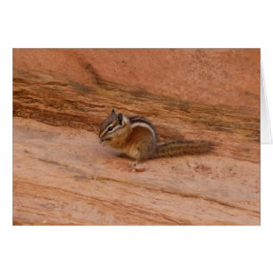Zion Chipmunk på Red Sten Hälsningskort