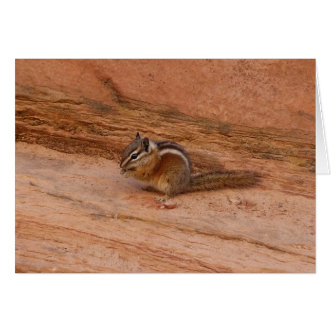 Zion Chipmunk på Red Sten Hälsningskort (Framsidan Horizontal)