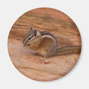 Zion Chipmunk på Red Sten Magnet