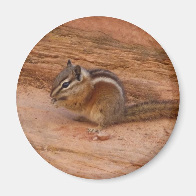 Zion Chipmunk på Red Sten Magnet (Framsidan)