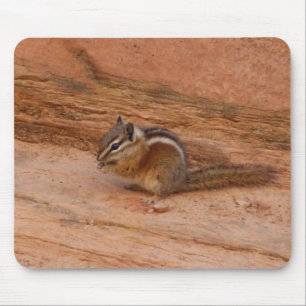 Zion Chipmunk på Red Sten Musmatta