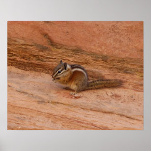 Zion Chipmunk på Red Sten Poster