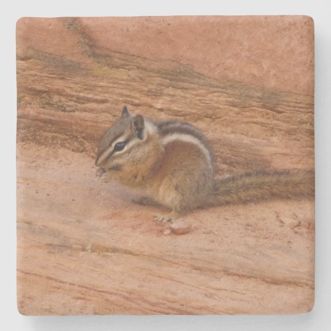 Zion Chipmunk på röda klippor Stenunderlägg (Framsidan)