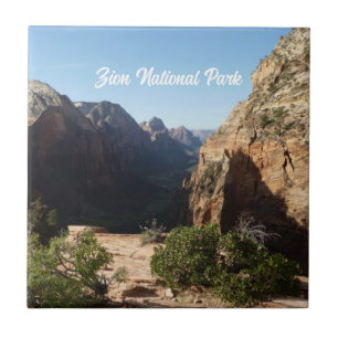 Zion från Angels Landing Trail Zion National Park Kakelplatta