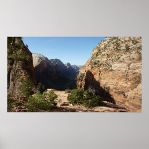 Zion från Angels Landing Trail Zion National Park Poster