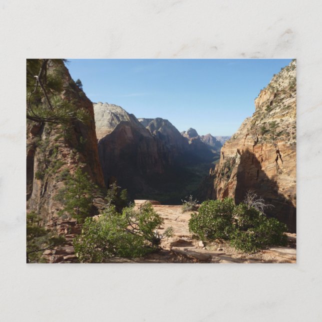 Zion från Angels Landing Trail Zion National Park Vykort (Framsida)
