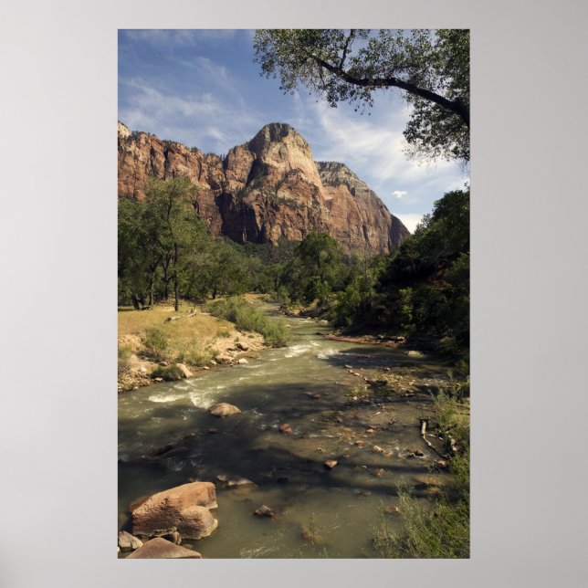 Zion Mountain Stream poster (Framsidan)