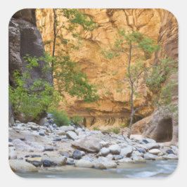 Zion Narrows Fyrkantigt Klistermärke