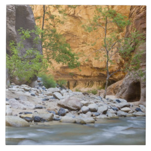 Zion Narrows Kakelplatta