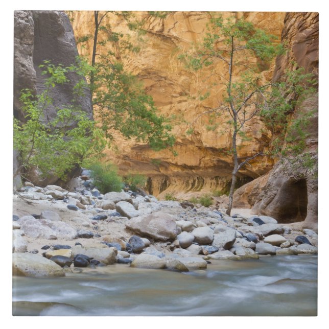 Zion Narrows Kakelplatta (Framsidan)