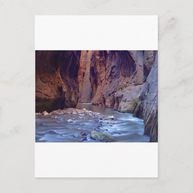 Zion Narrows nationalpark Vykort (Framsida)