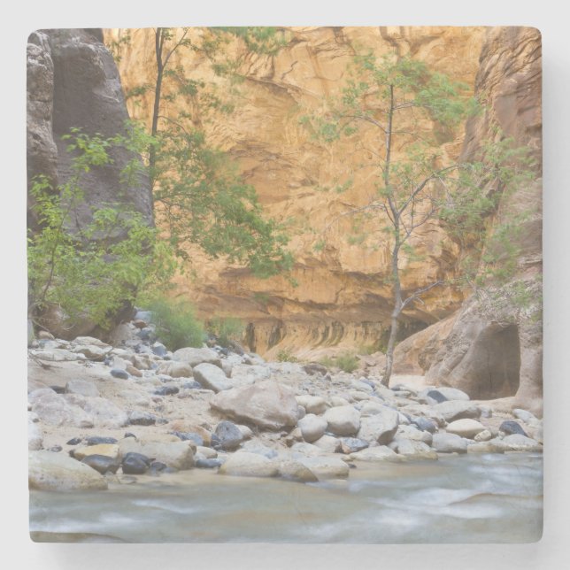 Zion Narrows Stenunderlägg (Framsidan)