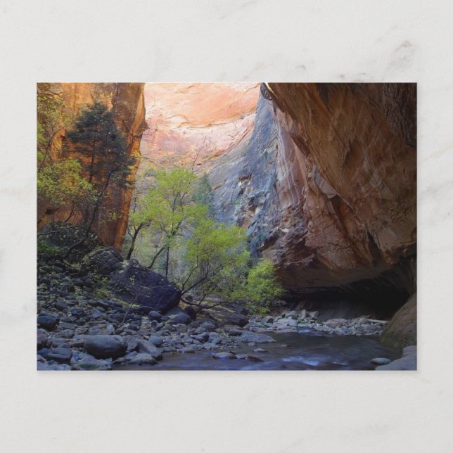 Zion Narrows Vykort (Framsida)