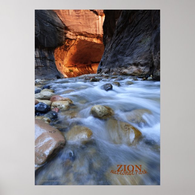 Zion National Park Narrows Matte Poster (Framsidan)